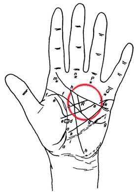 Это наука о руке человека, о всех знаках на руке и их значениях