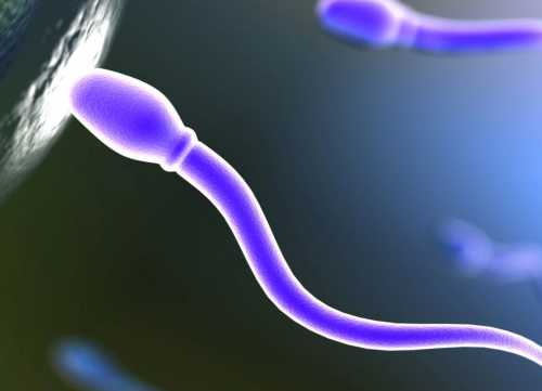 Частое посещение бани, сауны и принятие горячей ванны негативно влияют на сперматозоиды