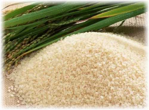 Ростки риса склонны к накоплению мышьяка, который входит в состав некоторых удобрений